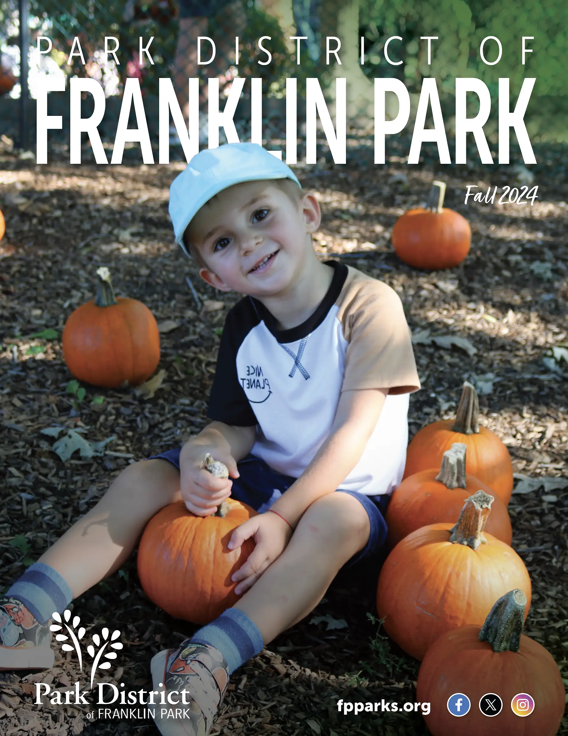 Franklin Park Ice Arena Park District of Franklin Park