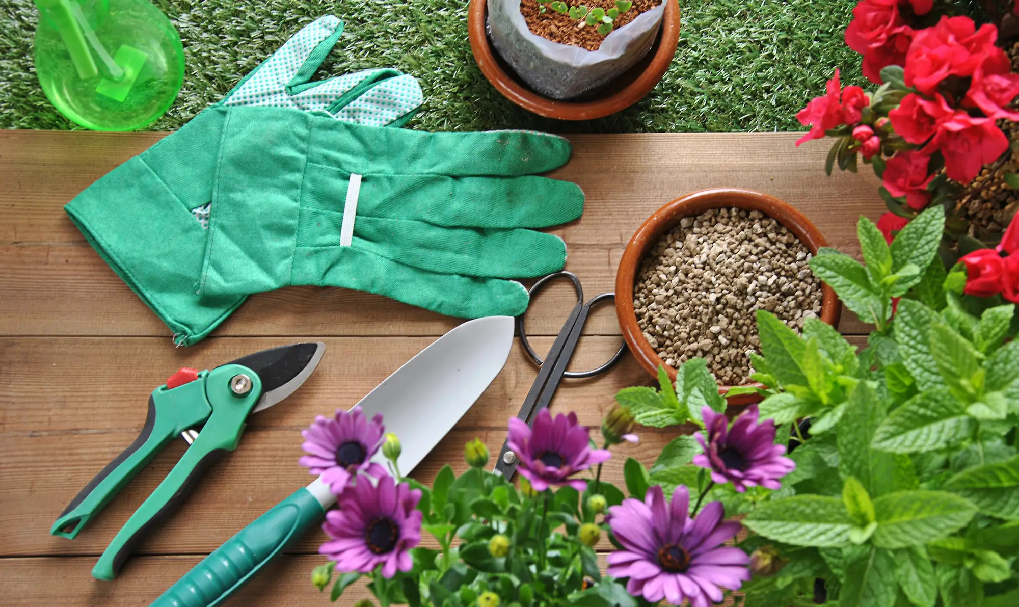 Gardening supplies